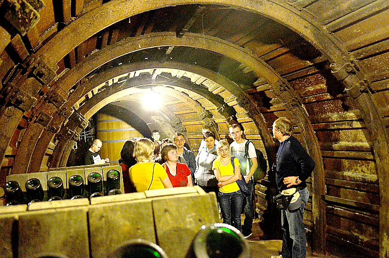 A riddling cellar of Blanquette de Limoux, bottles stacked neck down